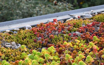 the cost of Barrowhill green roof installation
