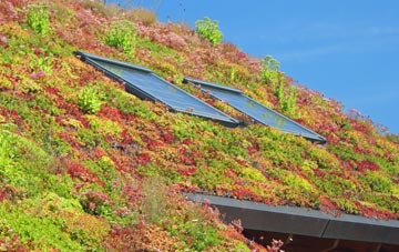 Barrowhill living roof systems